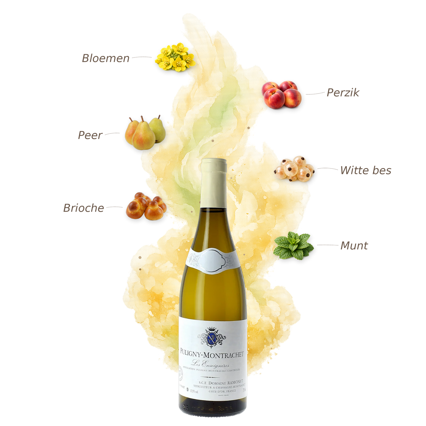 Puligny-Montrachet Les Enseignières 2019