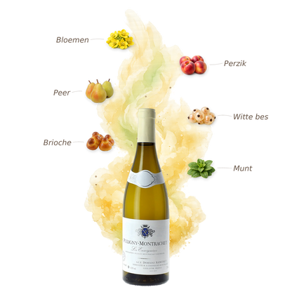Puligny-Montrachet Les Enseignières 2019