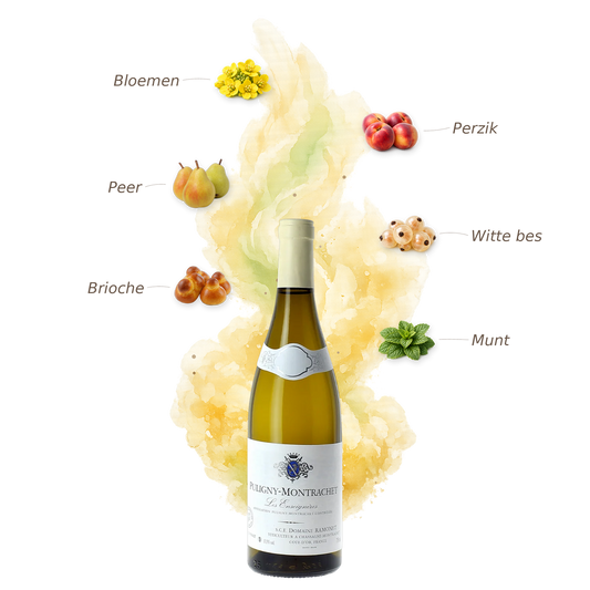 Puligny-Montrachet Les Enseignières 2019