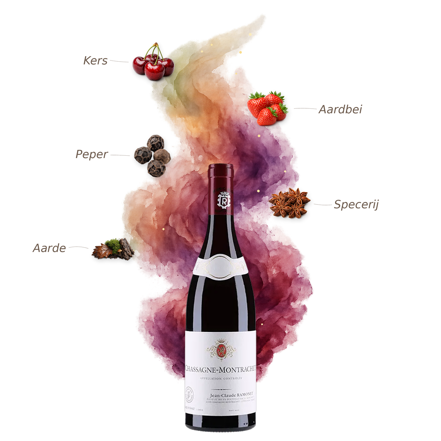 Chassagne-Montrachet Rouge 2019