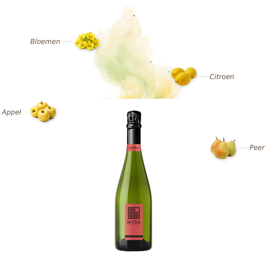 MVSA Brut Low Alcohol