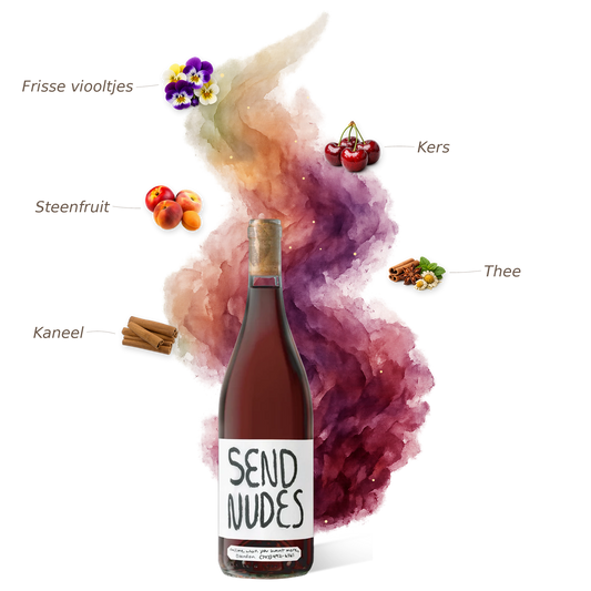 Send Nudes Pinot Noir 2023